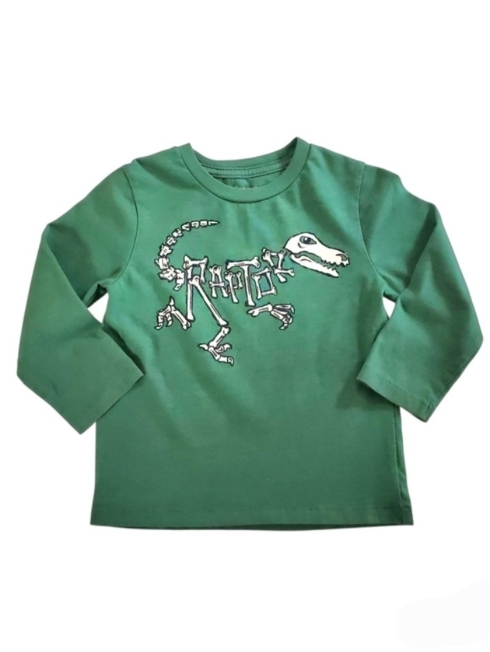 K1386 * Baby Gap Boys Raptor Dinosaur Long Sleeve Graphic Tee Green Size 3T